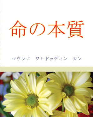 The Reality of Life in Japanese